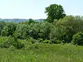 Le tripoint Belgique-France-Luxembourg se trouve en pleine nature, à quelques dizaines de mètres d'une route et des zones industrielles.