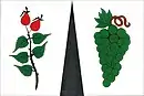 Drapeau de Trnovany