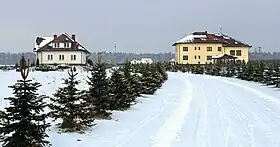 Trzcianka (Wilga)