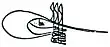 Tughra de Sélim Ier.