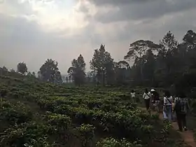 Tugu Selatan (Cisarua)