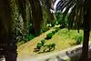 Jardin botanique de Tunis