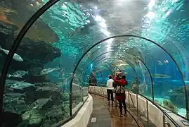 Le tunnel subaquatique.