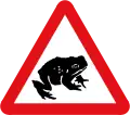 Crapauds migrateurs