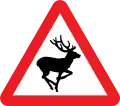 Animaux sauvages
