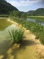 Il y a environ 40&nbsp;000&nbsp;ans, des humains s'établissent à Hohle Fels.