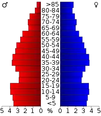 Pyramide des âges.