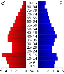 Schéma représentant la population du comté, par tranche d'âge. En rouge, à gauche, les femmes, en bleu à droite, les hommes.