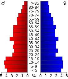 Schéma représentant la population du comté, par tranche d'âge. En rouge, à gauche, les femmes, en bleu à droite, les hommes.