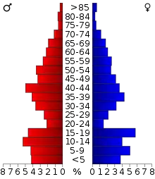 Schéma représentant la population du comté, par tranche d'âge. En rouge, à gauche, les femmes, en bleu à droite, les hommes.