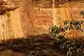 art pariétal autochtone montrant un thylacine (espèce éteinte depuis le début du XXe&nbsp;siècle), site d'Ubirr&nbsp;(en), Australie ;