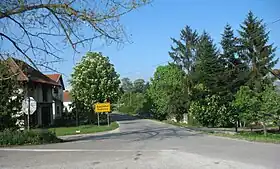 Dudovica