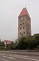 Tour : der Gänsturm.
