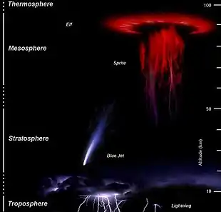Dessins de phénomènes lumineux transitoires selon l'altitude. Les éclairs se produisent en dessous de 10&nbsp;kilomètres d'altitude, les jets bleus entre 20&nbsp;et 30&nbsp;kilomètres, les farfadets entre 50 et 90 et les elfs entre 85 et 100.