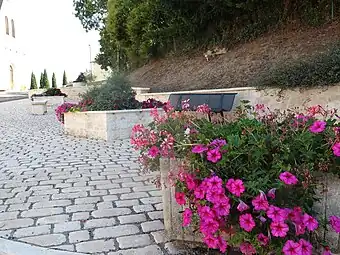 Banc et fleurs.