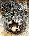 Masque diabolique