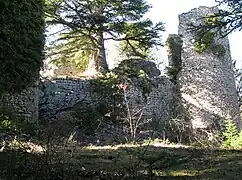 Le château médiéval du XIIIe siècle.