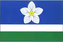 Drapeau de Vílanec