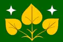 Drapeau de Výprachtice
