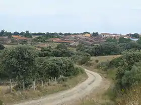 Zamarra