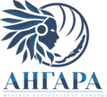Logo de VK Angara