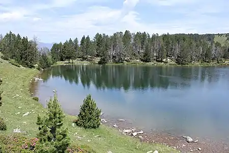 L'estany de la Nou.