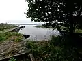 Rive sud de Vartiosaari.