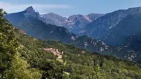Vaychis