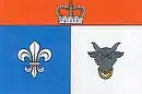 Drapeau de Velké Janovice
