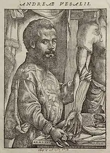 Portrait d'André Vésale dans De humani corporis fabrica