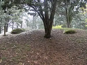 Vestiges sortant du sol de la batterie de Parilly, rattachée au fort de Bron.