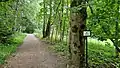 Forêt de feuillus
