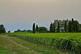 Image illustrative de l’article Ripaille (AOC)