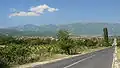 Topolovo : Vue panoramique