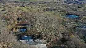 Chikh Doursoun