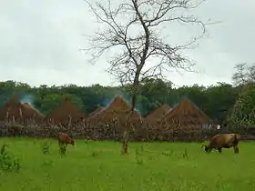 Bula (Guinée-Bissau)