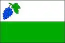 Drapeau de Viničné Šumice