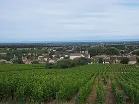 Viré