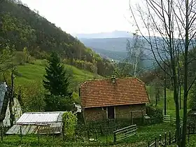 Gornje Međuše