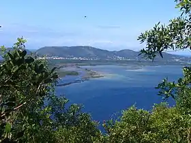 Image illustrative de l’article Lagoa da Conceição