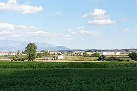 Cijuela