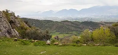 Vue depuis le château de Petrelë.