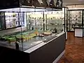 Section zoologie, minéralogie et pétrologie