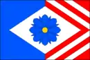 Drapeau de Nemotice