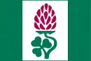 Drapeau de Lány