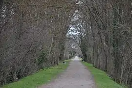 La ligne au sortir de Mirepoix, vers l'est.