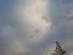 Vol de Grues cendrées survolant le Comminges.