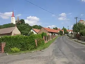 Vitice