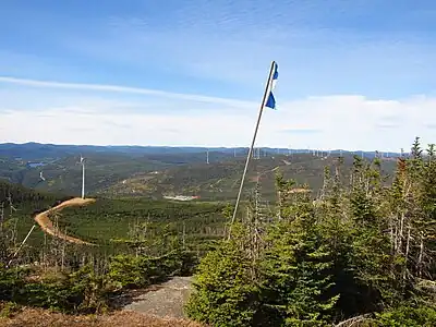 Grue sur le sommet d'une montagne