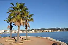 Vue sur la corniche de Tamaris, depuis les Sablettes